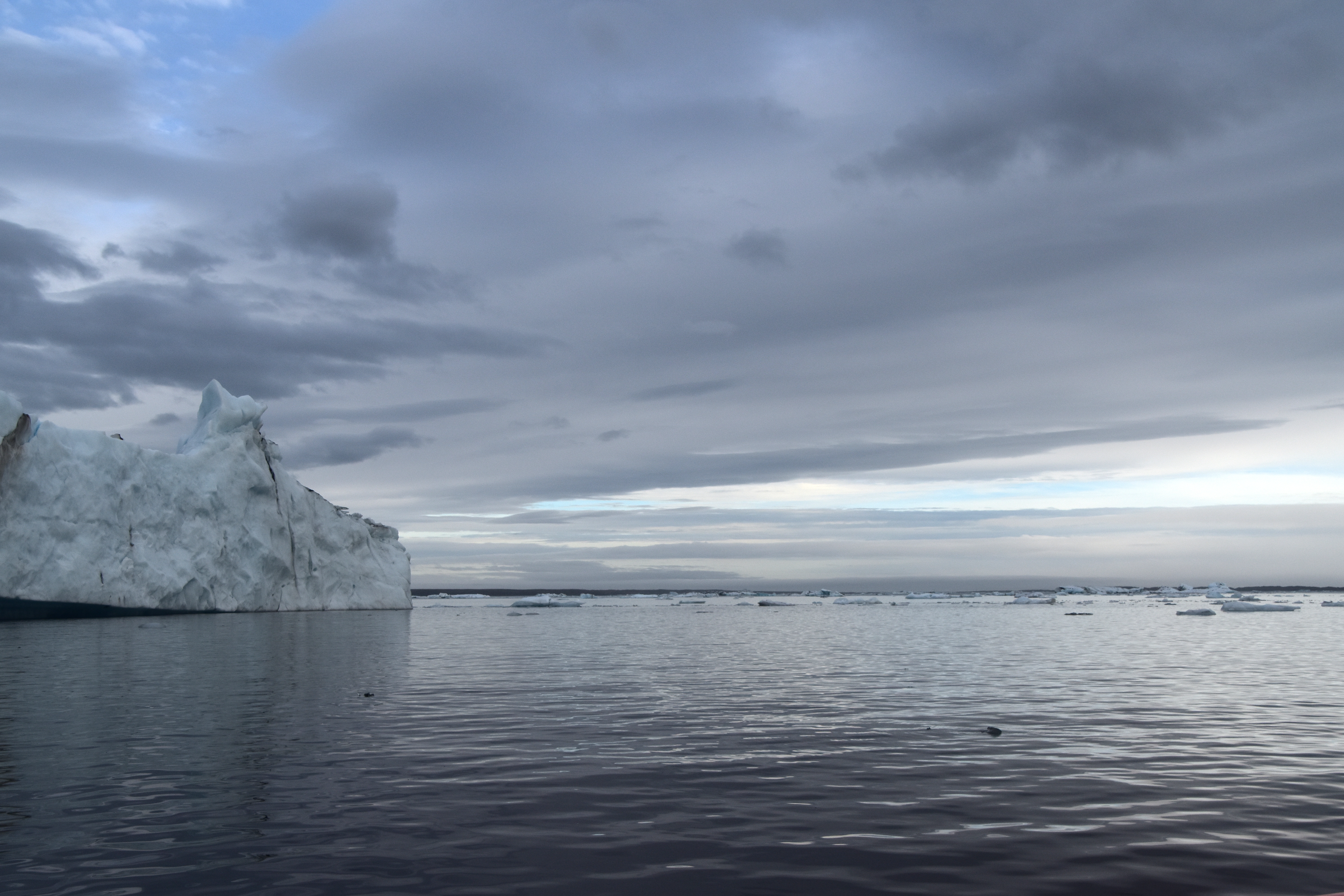 SUSTAINABLE YARNS NATURE RSH002