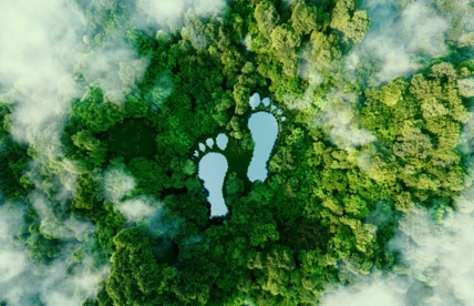 Testimage Footprints